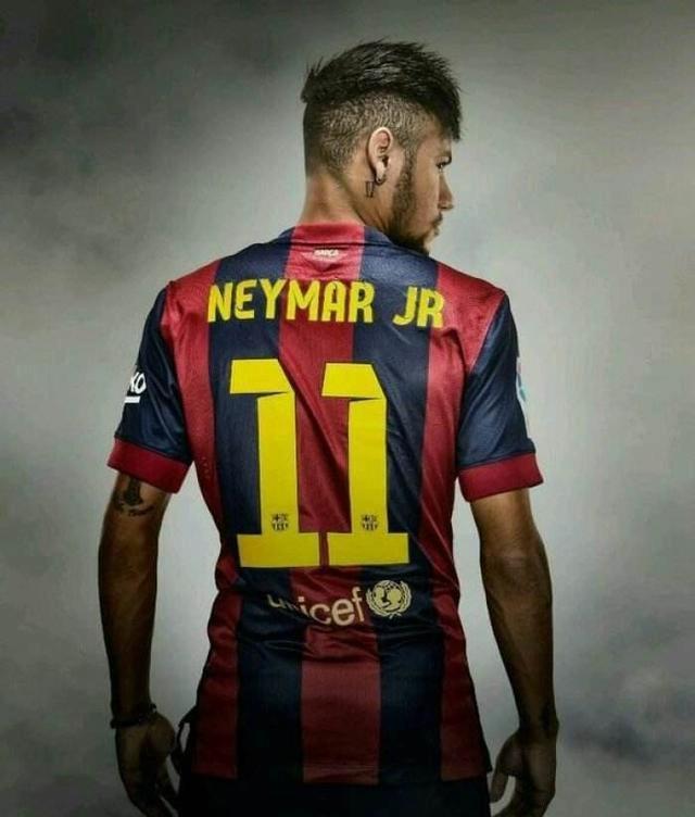 季进入这一 季进入这一